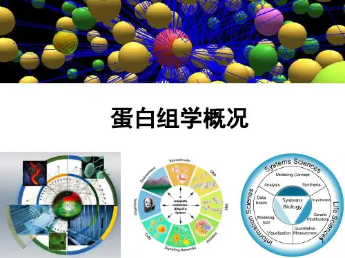 蛋白组学概论ppt课件