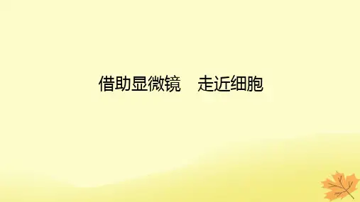 高考生物一轮复习第一单元走近细胞及组成细胞的分子课堂互动探究案1借助显微镜走近细胞课件