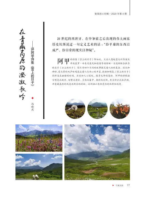 在青藏高原的澄澈歌吟——评阿甲诗集《雪上的日子》