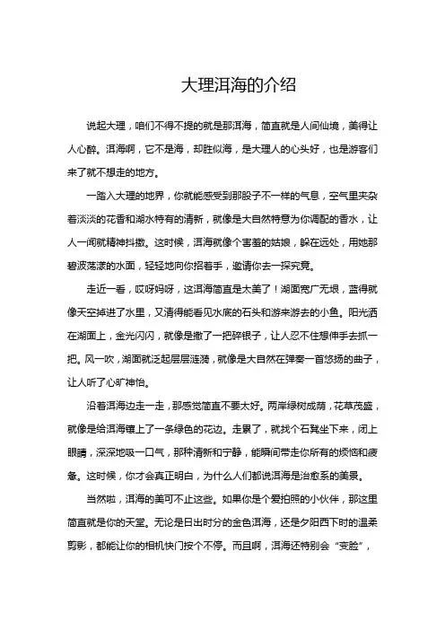 大理洱海的介绍