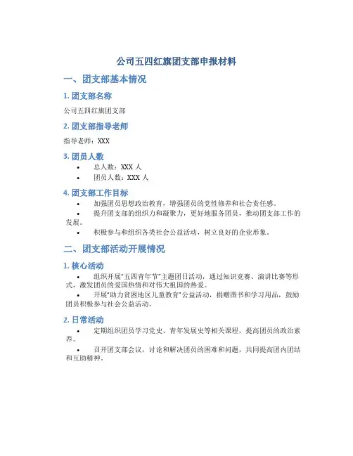 公司五四红旗团支部申报材料