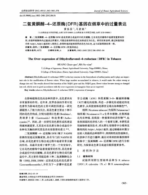 二氢黄酮醇-4-还原酶(DFR)基因在烟草中的过量表达