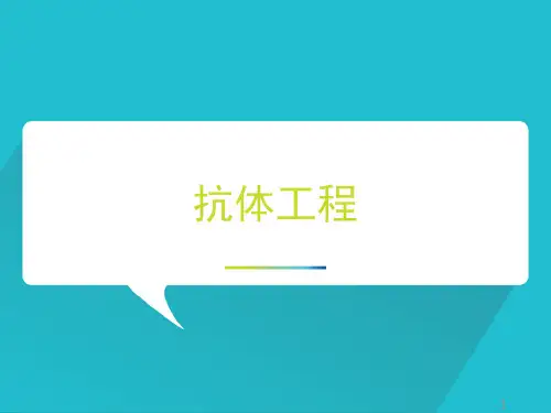 抗体工程ppt课件