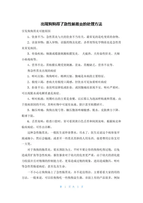 出现狗狗得了急性肠胃炎的处理方法