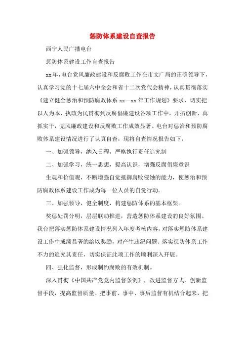 惩防体系建设自查报告