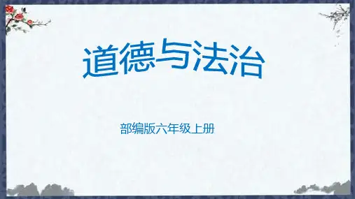 六上道德与法治2、宪法是根本法第二课时课件