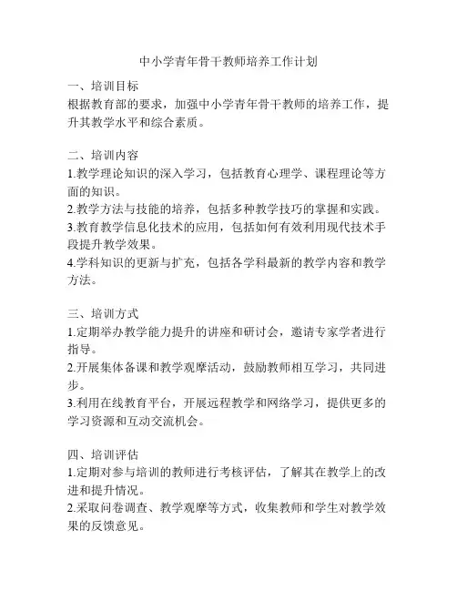 中小学青年骨干教师培养工作计划