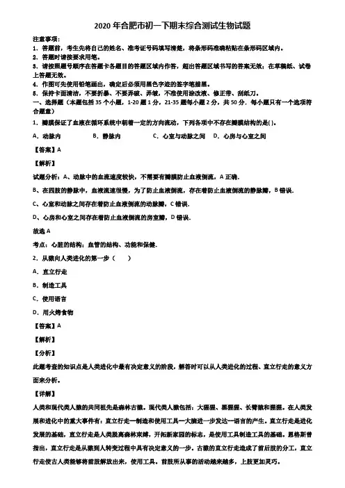 2020年合肥市初一下期末综合测试生物试题含解析