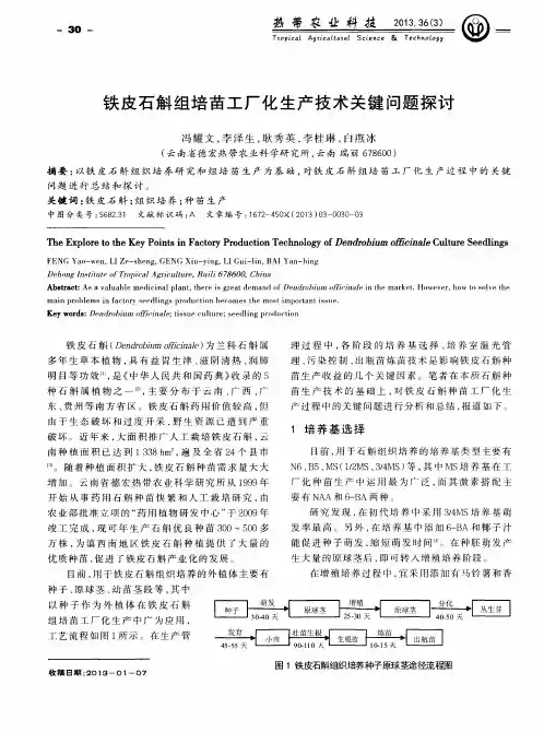 铁皮石斛组培苗工厂化生产技术关键问题探讨