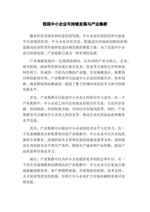 我国中小企业可持续发展与产业集群