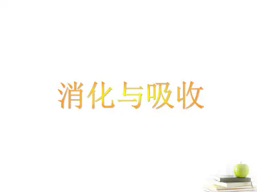六年级科学下册-消化与吸收2课件-冀教版