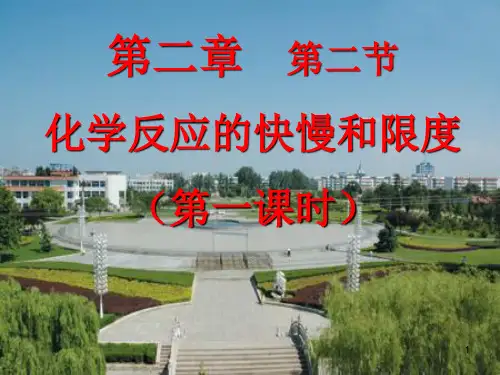 高中化学 第二章 化学键化学反应与能量 第二节 化学反应的快慢和限度课件 鲁科版必修2.ppt