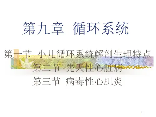 循环系统--小儿循环系统解剖生理特点 PPT课件