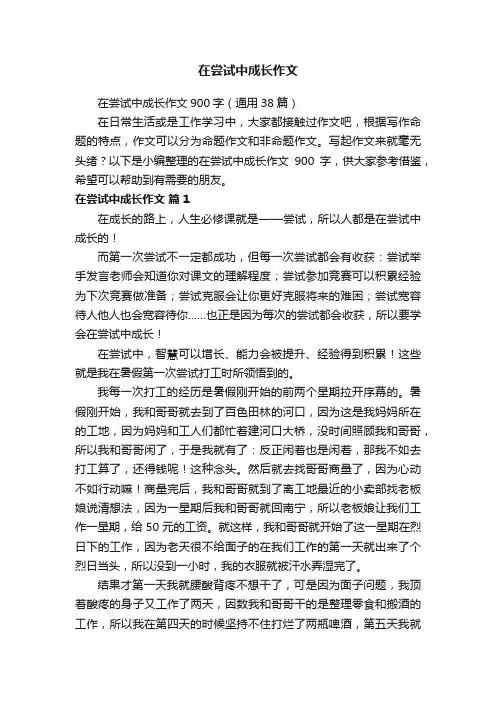 在尝试中成长作文 2