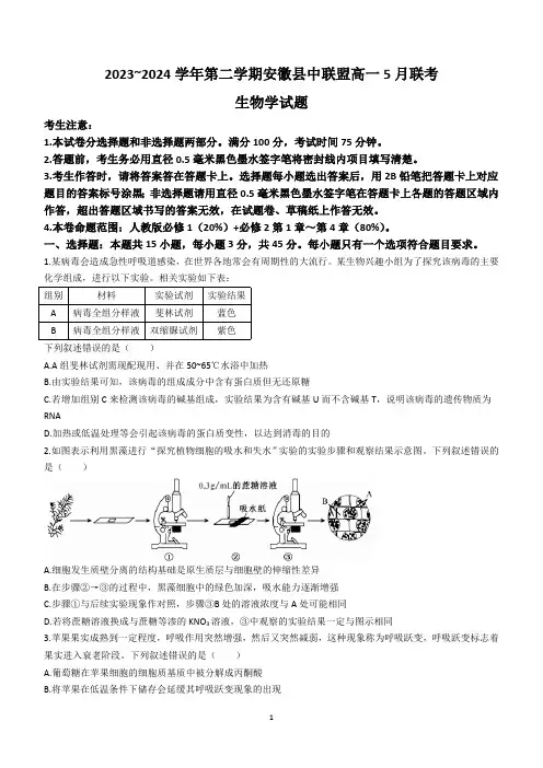 安徽省县中联盟2023-2024学年高一下学期5月联考生物试题(含答案)