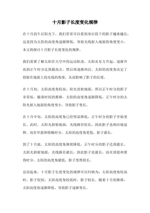 十月影子长度变化规律
