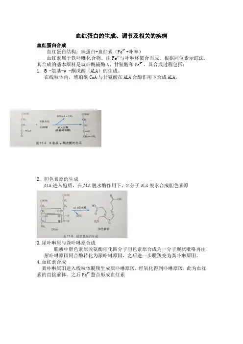 血红蛋白的生成、调节及相关的疾病