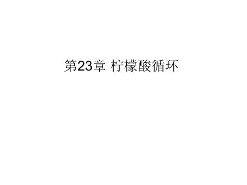 生物化学-23章 柠檬酸循环