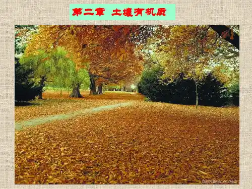 第二章土壤有机质