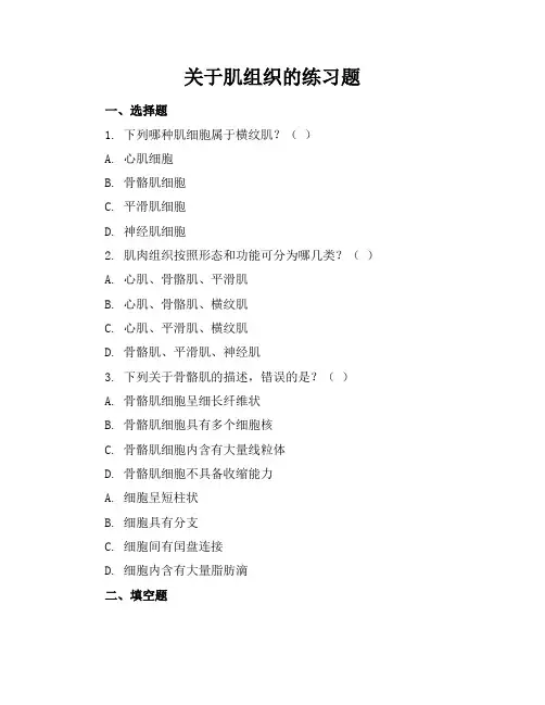 关于肌组织的练习题