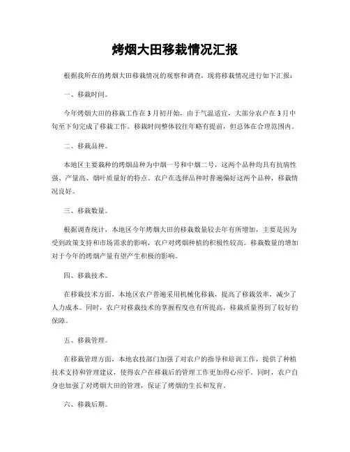 烤烟大田移栽情况汇报