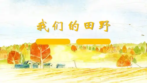 我们的田野PPT精品课件