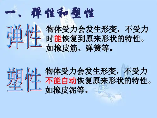 弹力 全国一等奖-完整版PPT课件