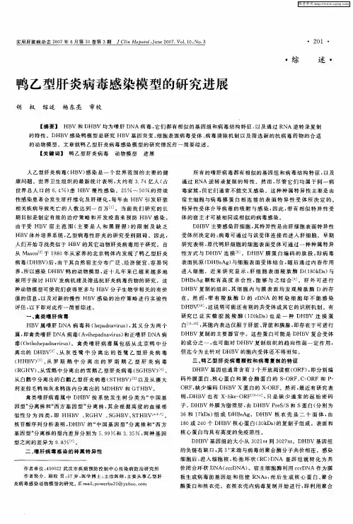 鸭乙型肝炎病毒感染模型的研究进展