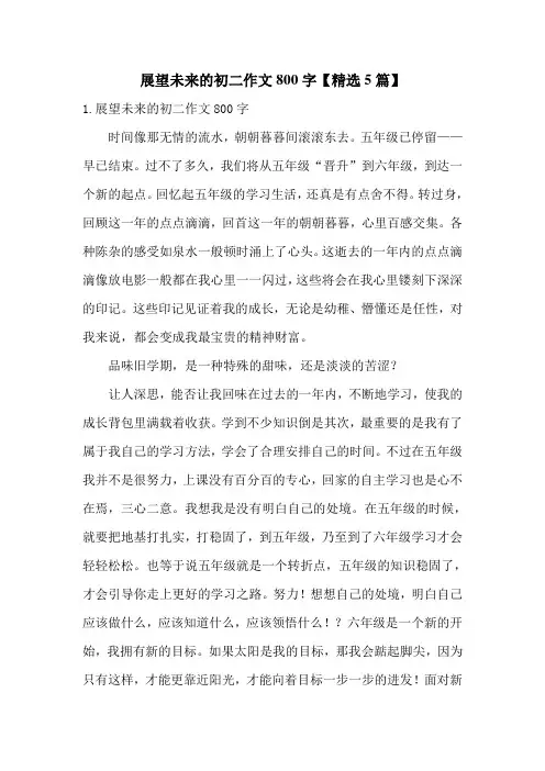展望未来的初二作文800字【精选5篇】
