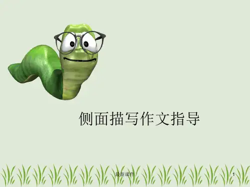 侧面描写PPT课件