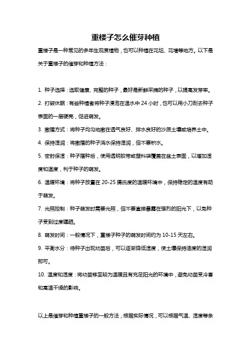 重楼子怎么催芽种植