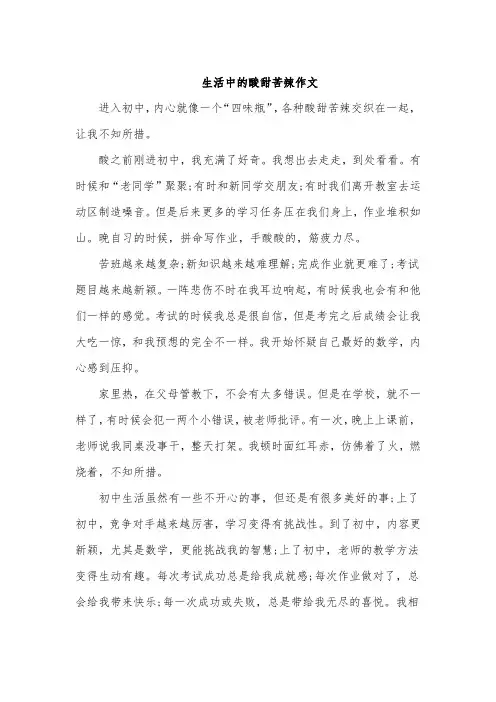 生活中的酸甜苦辣作文 (5)