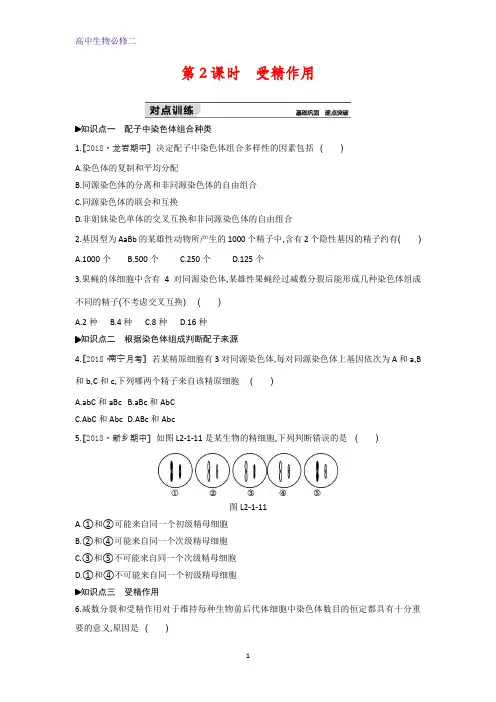 生物人教版必修2练习：第2章第1节第2课时 受精作用 Word版含解析