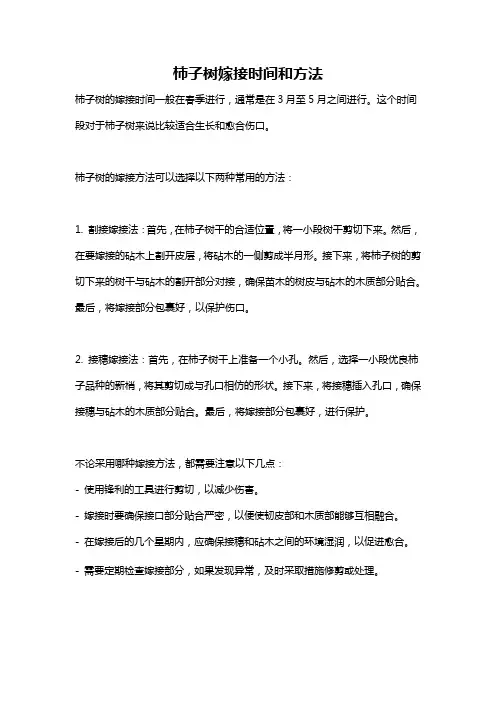 柿子树嫁接时间和方法