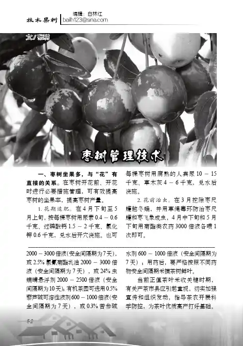 枣树管理技术