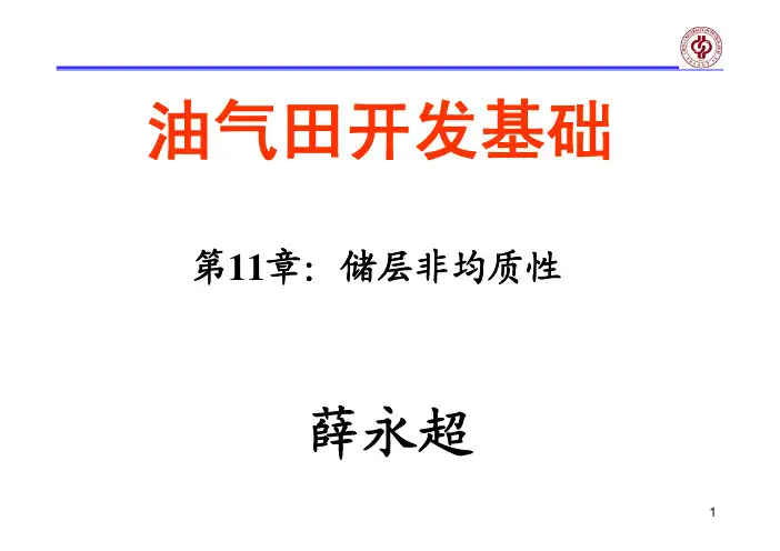 第11章储层非均质性