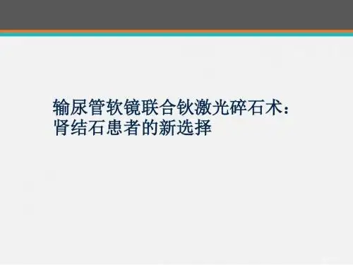输尿管软镜联合钬激光碎石术：肾结石患者的新选择  ppt课件