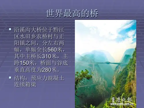 桥梁世界之最及介绍