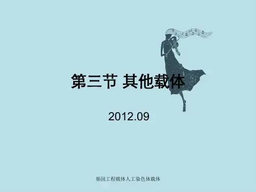 基因工程载体人工染色体载体