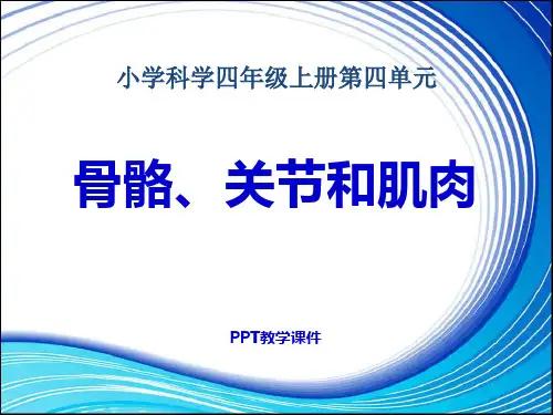 科教版四上《骨骼、关节和肌肉》PPT课件