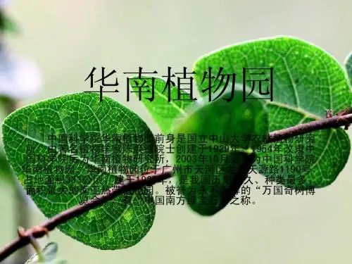 华南植物园