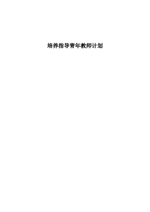 个人培养指导青年教师计划