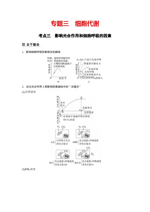 3-3 影响光合作用和细胞呼吸的因素