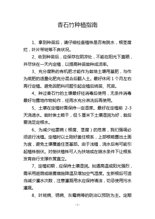 香石竹种植指南