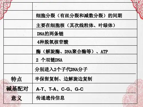 新版人教版高中生物基因指导蛋白质的合成 (共20张PPT)学习演示PPT课件