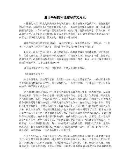 夏日午后的环境描写作文片段