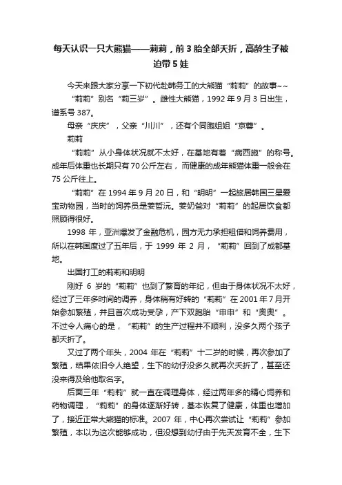 每天认识一只大熊猫——莉莉，前3胎全部夭折，高龄生子被迫带5娃