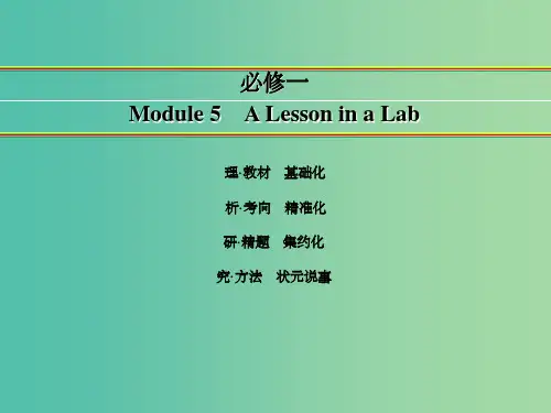 高考英语一轮复习 Module 5 A Lesson in a Lab课件 外研版必修1