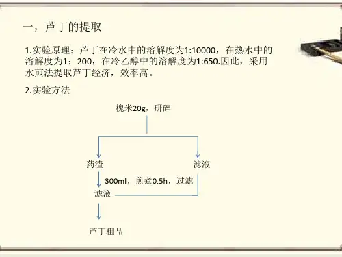 槐米中芦丁的提取分离与鉴定