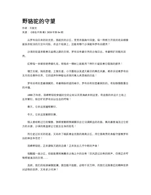 野骆驼的守望